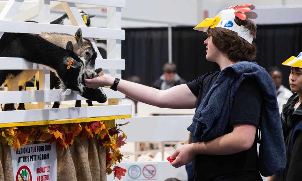 A visitor feeds animals at the 2025 Royal Agricultural Winter Fair in Toronto, Canada, on Nov. 7, 2025. This annual event kicked off here on Friday and will last until Nov. 16 this year, with displays of fruits and vegetables, poultry and livestock, as well as educational activities. (Photo by Zou Zheng/Xinhua)
