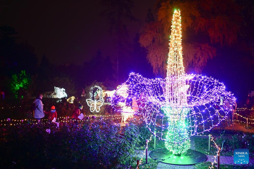 A light installation is seen at the Magical Botanical Garden light show at the University of Warsaw Botanical Garden in Warsaw, Poland on Nov. 8, 2025.
The show opened here Saturday night and will run through mid-February 2026. (Photo by Aleksy Witwicki/Xinhua)
