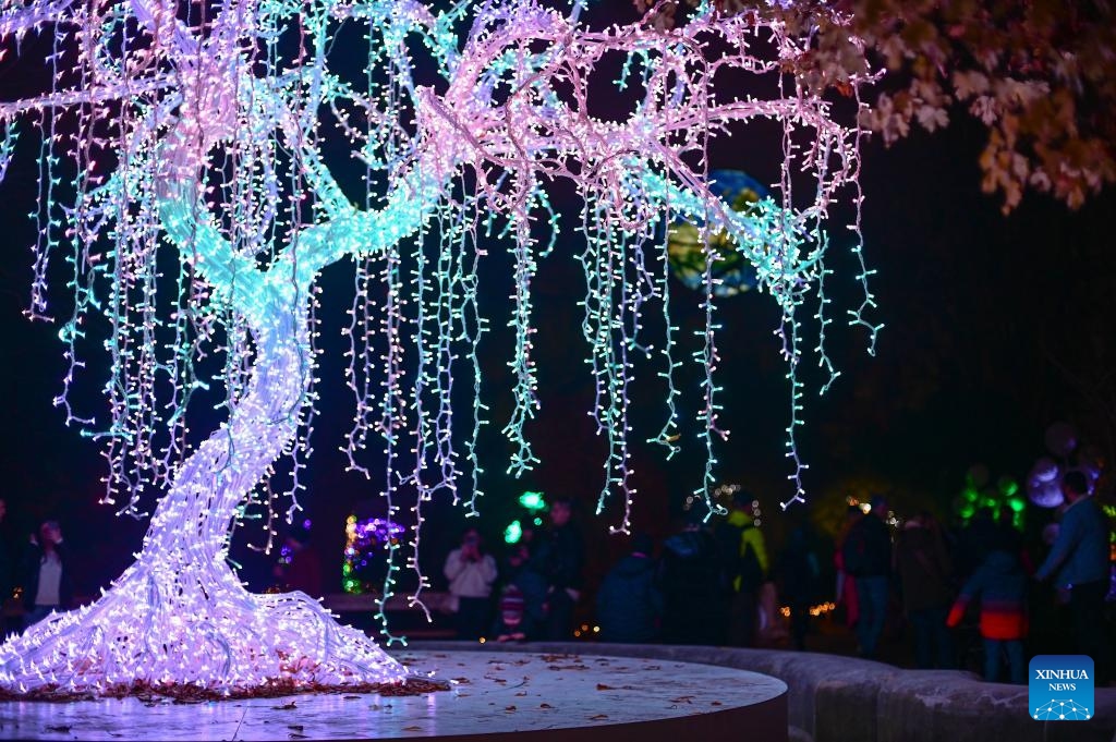 A light installation is seen at the Magical Botanical Garden light show at the University of Warsaw Botanical Garden in Warsaw, Poland on Nov. 8, 2025.
The show opened here Saturday night and will run through mid-February 2026. (Photo by Aleksy Witwicki/Xinhua)