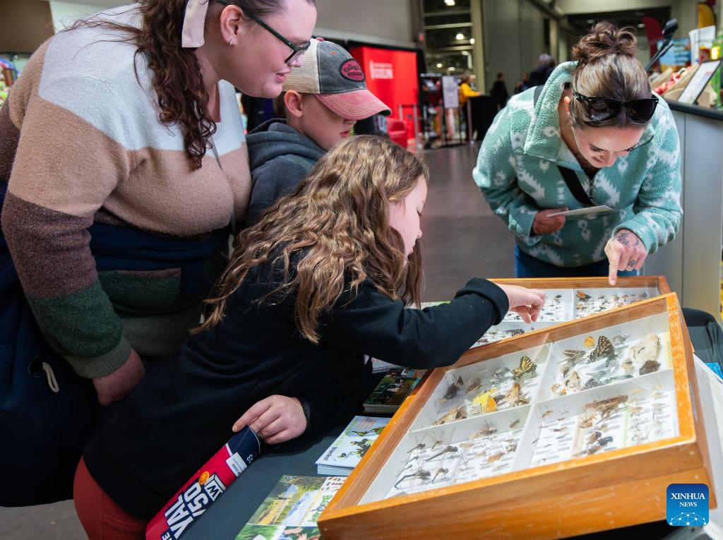 People view insect specimens at the 2025 Royal Agricultural Winter Fair in Toronto, Canada, on Nov. 7, 2025. This annual event kicked off here on Friday and will last until Nov. 16 this year, with displays of fruits and vegetables, poultry and livestock, as well as educational activities. (Photo by Zou Zheng/Xinhua)