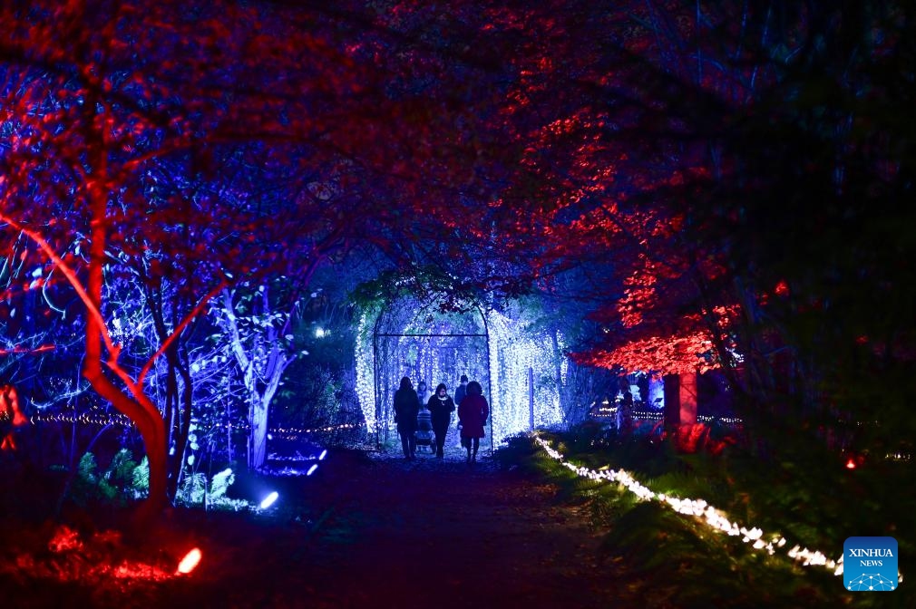 People visit the Magical Botanical Garden light show at the University of Warsaw Botanical Garden in Warsaw, Poland on Nov. 8, 2025.
The show opened here Saturday night and will run through mid-February 2026. (Photo by Aleksy Witwicki/Xinhua)