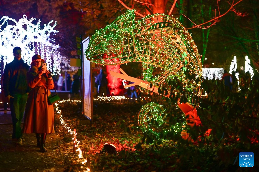 People visit the Magical Botanical Garden light show at the University of Warsaw Botanical Garden in Warsaw, Poland on Nov. 8, 2025.
The show opened here Saturday night and will run through mid-February 2026. (Photo by Aleksy Witwicki/Xinhua)