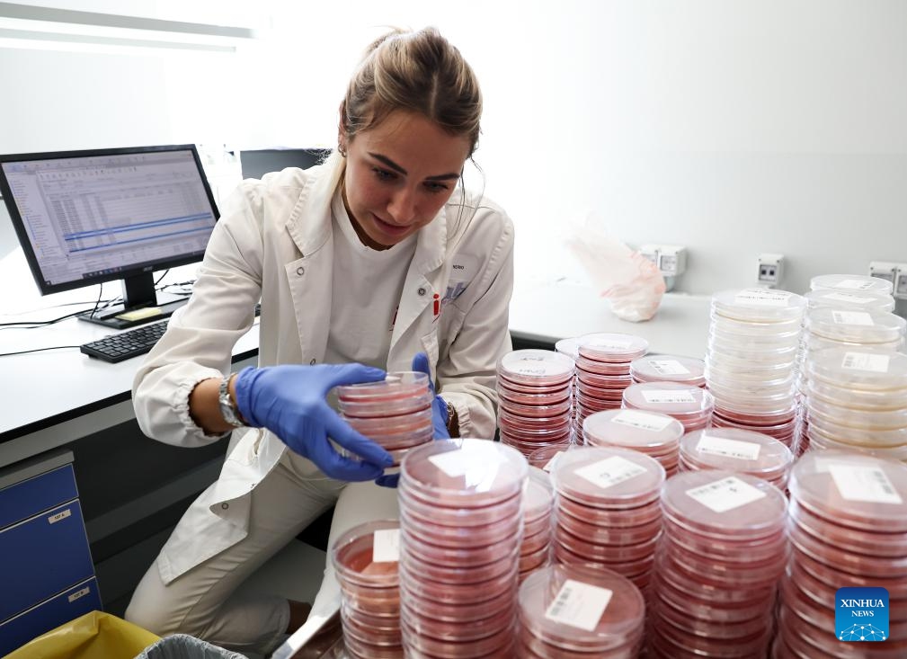 A staff member conducts probiotics test at the headquarters of Inalpi, an Italian dairy company, in Moretta, Italy, Oct. 30, 2025. Agriculture is an industrial pillar of Italy, a country which uses 56 percent of its land for agriculture. The country is home to about 1.6 million farm-based businesses, many of which make agri-food products prized worldwide for their quality and craftsmanship. (Xinhua/Liu Jiaqi)