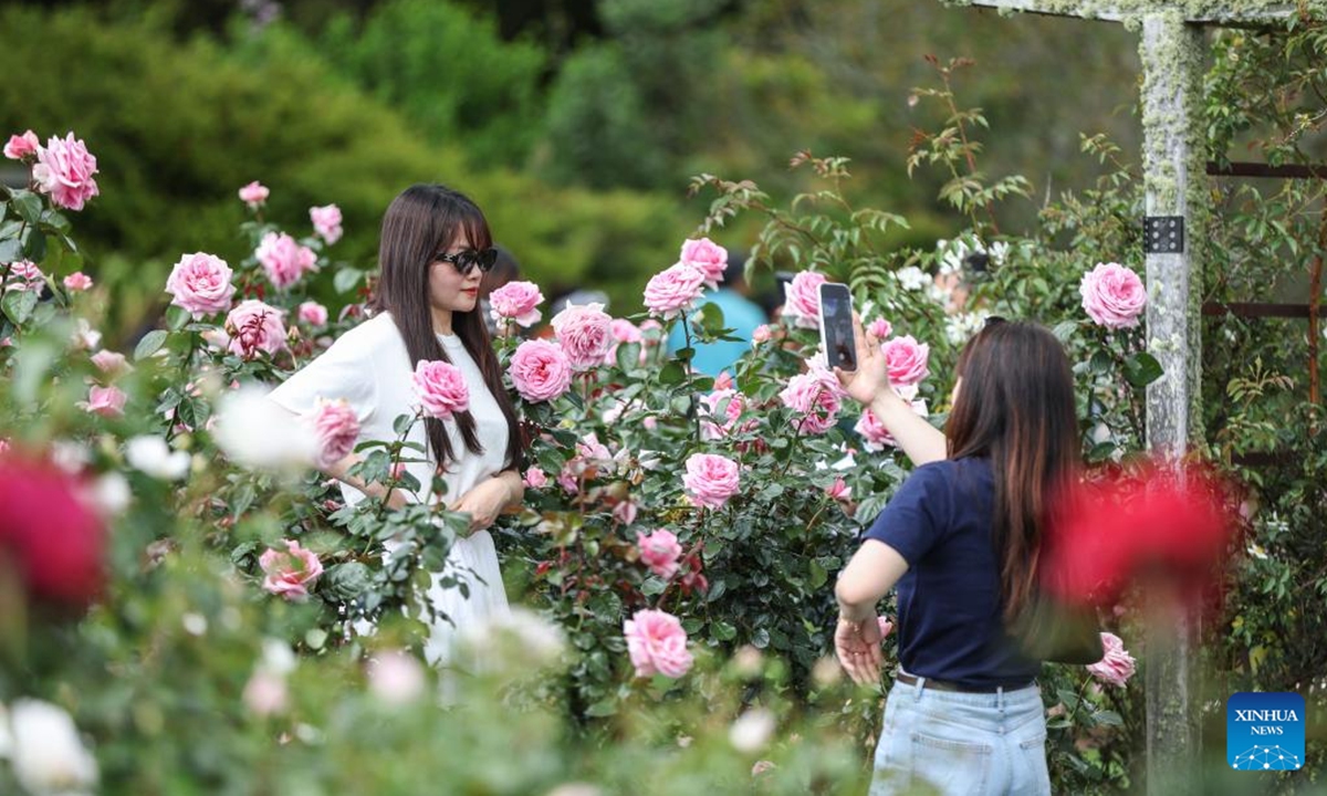 People visit the Parnell Rose Garden in Auckland, New Zealand, Nov. 9, 2025. (Xinhua/Long Lei)
