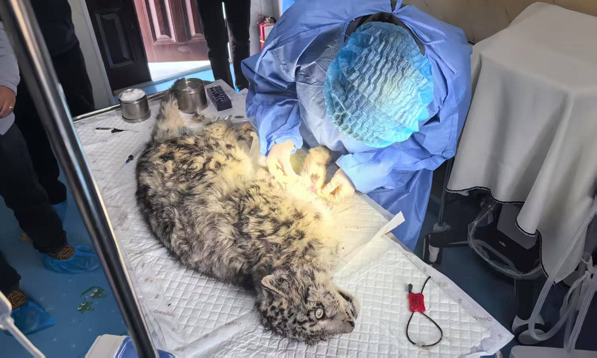 Ling Xiaozhe is receiving a treatment in Xining, Northwest China's Qinghai. Photo: Courtesy of Qi Xinzhang