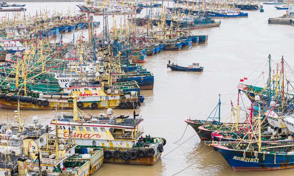 Affected by Typhoon Fung-wong, a large number of fishing boats seek shelter in fishing ports in  Wenling, East China's Zhejiang Province, on November 11, 2025. Fishermen are stepping up efforts to reinforce cables, store fishing nets and other tasks to fully guard against the typhoon. Photo: VCG