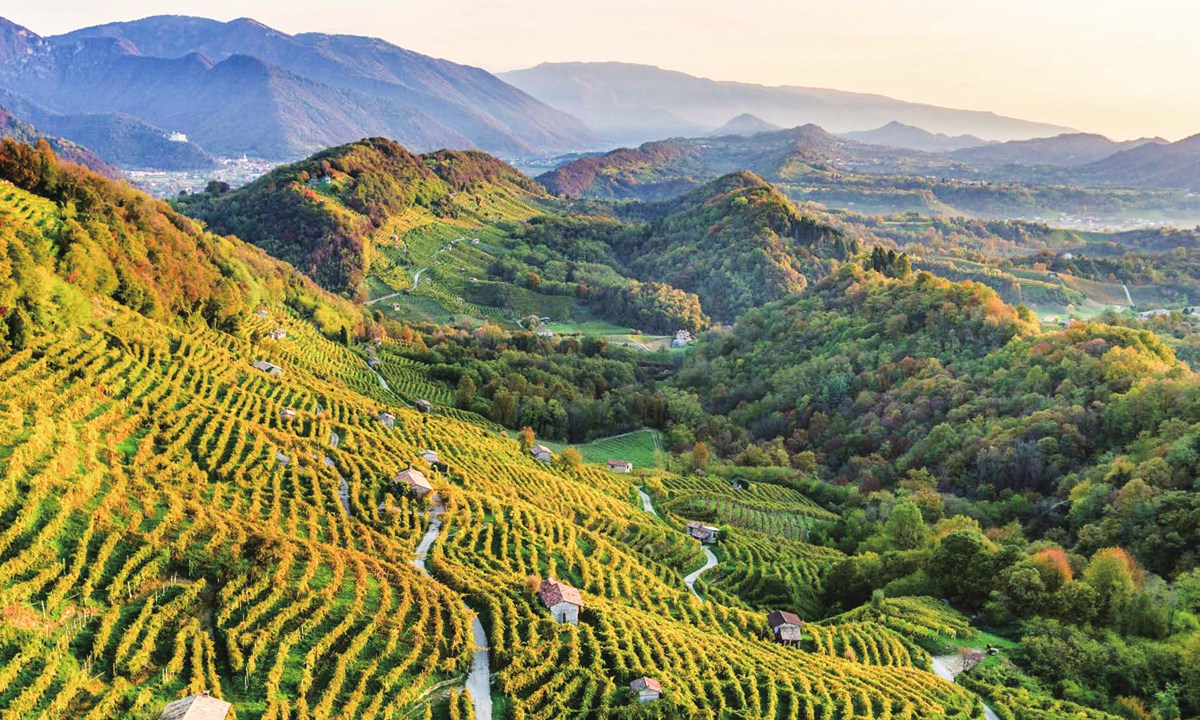 The hills of Valdobbiadene near Conegliano in Veneto, where the famous Prosecco is produced Photo: Courtesy of MF/Milano Finanza