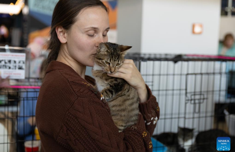 A woman kisses a cat at a charity event for adopting stray cats and dogs in Vladivostok, Russia, Nov. 15, 2025. (Photo by Andrey Matveenko/Xinhua)