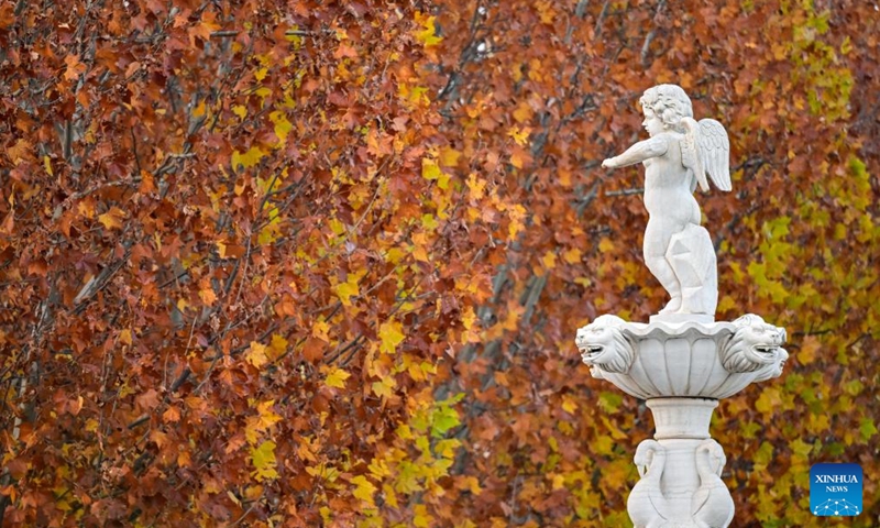 This photo taken on Nov. 15, 2025 shows a view at Beijing Garden Expo Park during an early winter day in Beijing, capital of China. Photo: Xinhua