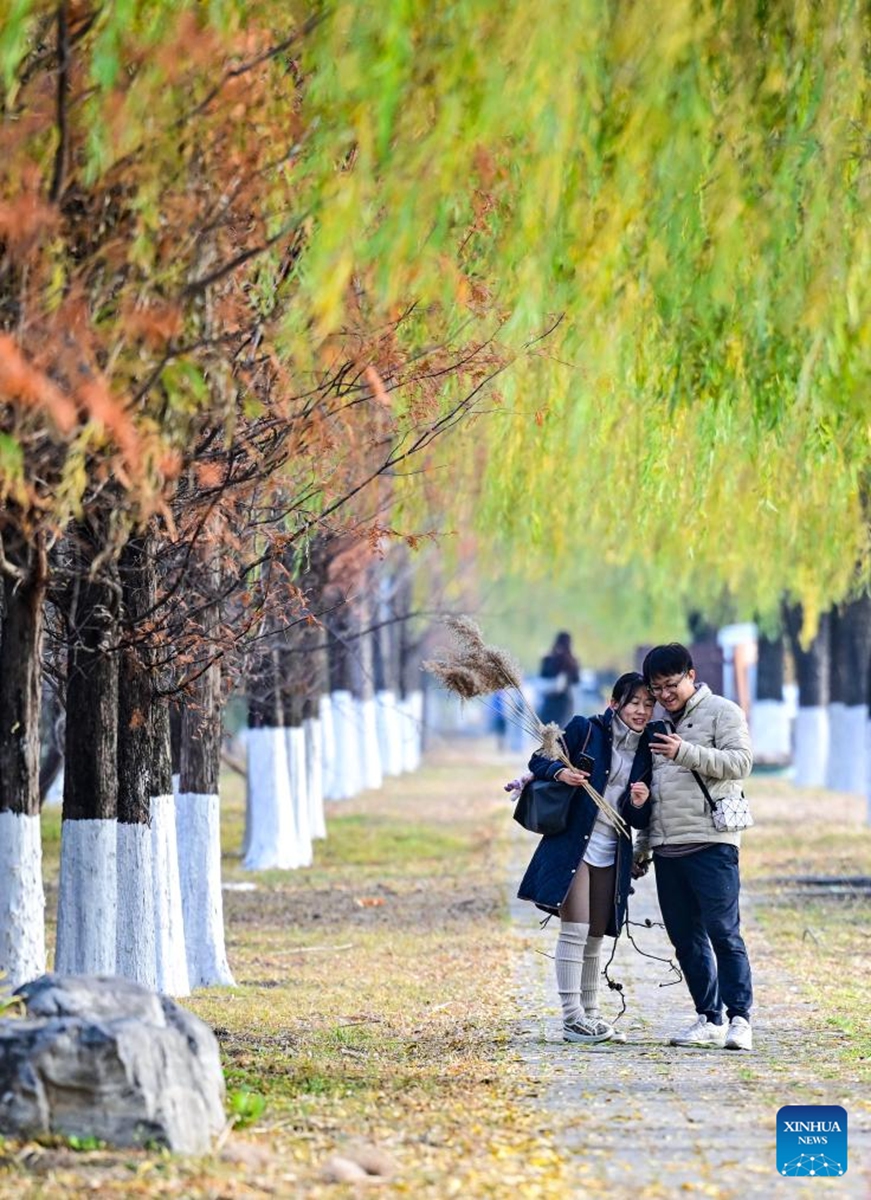 Tourists visit Beijing Garden Expo Park during an early winter day in Beijing, capital of China, Nov. 15, 2025. Photo: Xinhua