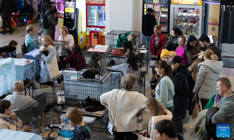 People attend a charity event for adopting stray cats and dogs in Vladivostok, Russia, Nov. 15, 2025. (Photo by Andrey Matveenko/Xinhua)