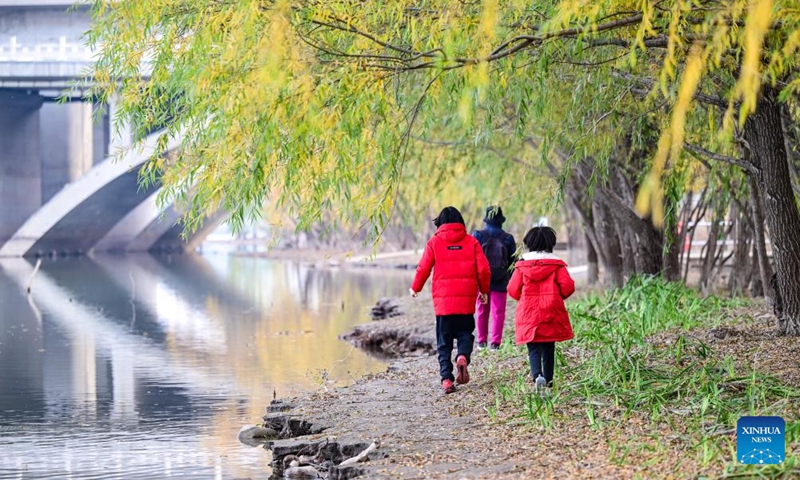 Tourists visit Beijing Garden Expo Park during an early winter day in Beijing, capital of China, Nov. 15, 2025. Photo: Xinhua