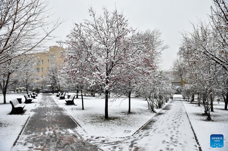 This photo taken on Nov. 15, 2025 shows the scenery of snow in Moscow, Russia. Moscow on Friday saw its first snowfall since the beginning of winter this year.  Photo: Xinhua
