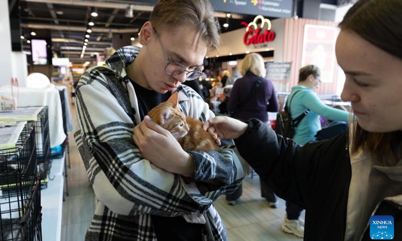 A couple interact with a cat at a charity event for adopting stray cats and dogs in Vladivostok, Russia, Nov. 15, 2025. (Photo by Andrey Matveenko/Xinhua)