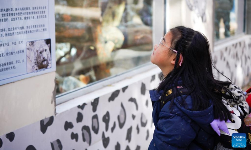 A child reads the story of a rescued snow leopard at Xining Wildlife Park in northwest China's Qinghai Province, Nov. 15, 2025. The leopard house at Xining Wildlife Park reopened to the public after a month-long renovation. Photo: Xinhua