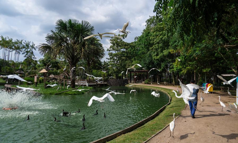 COP30 summit urged to propel global climate governance into new stage – Global Times