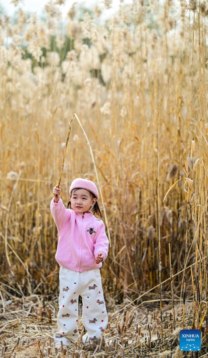 A child plays at Beijing Garden Expo Park during an early winter day in Beijing, capital of China, Nov. 15, 2025. Photo: Xinhua