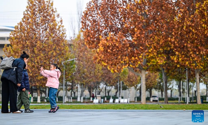 Tourists visit Beijing Garden Expo Park during an early winter day in Beijing, capital of China, Nov. 15, 2025. Photo: Xinhua