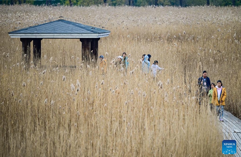 Tourists visit Beijing Garden Expo Park during an early winter day in Beijing, capital of China, Nov. 15, 2025. Photo: Xinhua