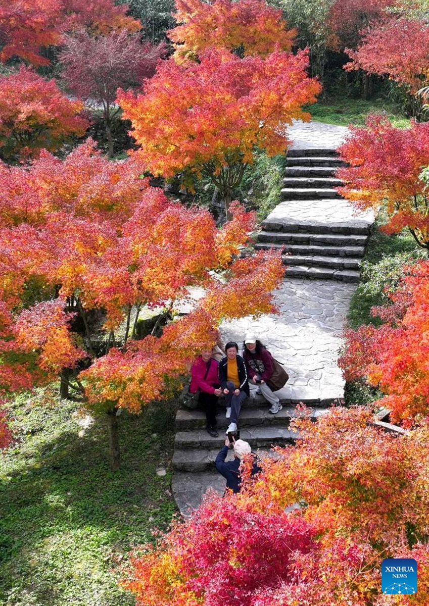 An aerial drone photo taken on Nov. 16, 2025 shows tourists enjoying sightseeing at a geopark in Xuan'en County, central China's Hubei Province. Photo: Xinhua