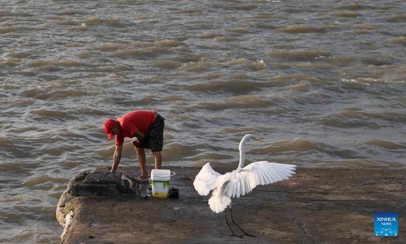 A fisherman works on the riverside as an egret spreads its wings in Belem, Brazil, Nov. 16, 2025. (Photo by Claudia Martini/Xinhua)