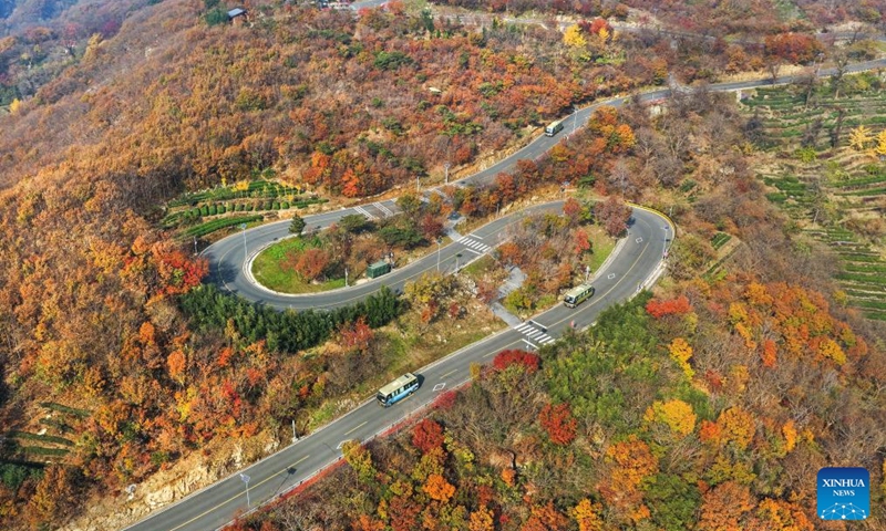 An aerial drone photo taken on Nov. 16, 2025 shows a winding road at a scenic spot in Lianyungang City, east China's Jiangsu Province. Photo: Xinhua
