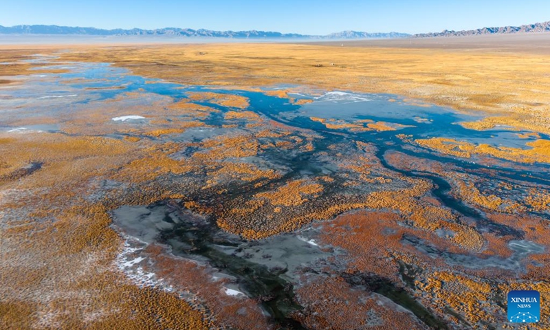 An aerial drone photo taken on Nov. 14, 2025 shows a view of the Xiaosugan Lake in Kazak Autonomous County of Aksay, Jiuquan, northwest China's Gansu Province. Dasugan Lake and Xiaosugan Lake are connected and are both formed by the meltwater from the Qilian Mountains. A unique phenomenon is that the upstream Xiaosugan Lake is a freshwater lake, while the downstream Dasugan Lake is a saline lake.

Together, they nurture a vibrant ecological wetland in the vast Gobi Desert, serving as an important stopover and breeding habitat for migratory birds along China's migration routes. Photo: Xinhua