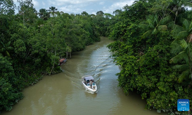 An aerial drone photo taken on Nov. 16, 2025 shows tropical rainforest and waterways in Belem, Brazil. (Xinhua/Wang Tiancong)