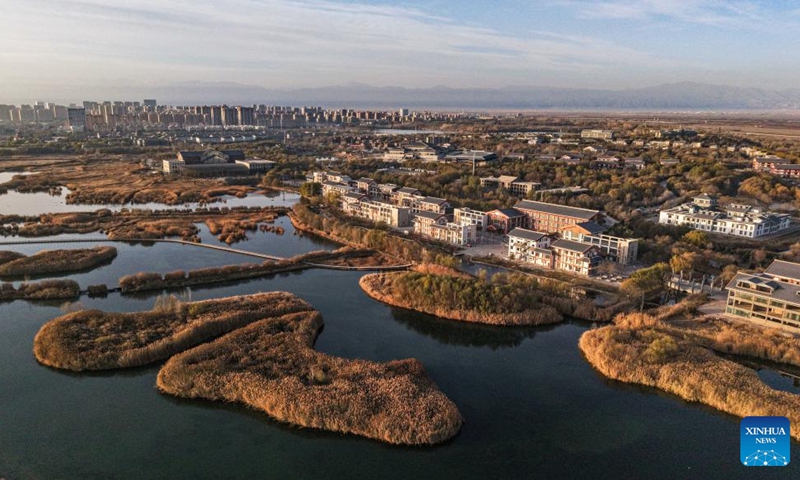 An aerial drone photo taken on Nov. 16, 2025 shows the scenery of the Zhangye National Wetland Park in Zhangye City, northwest China's Gansu Province. Photo: Xinhua