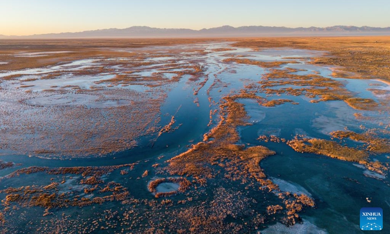 An aerial drone photo taken on Nov. 14, 2025 shows a view of the Xiaosugan Lake in Kazak Autonomous County of Aksay, Jiuquan, northwest China's Gansu Province. Dasugan Lake and Xiaosugan Lake are connected and are both formed by the meltwater from the Qilian Mountains. A unique phenomenon is that the upstream Xiaosugan Lake is a freshwater lake, while the downstream Dasugan Lake is a saline lake.

Together, they nurture a vibrant ecological wetland in the vast Gobi Desert, serving as an important stopover and breeding habitat for migratory birds along China's migration routes. Photo: Xinhua