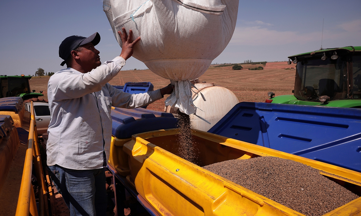 Chinese market vital to Brazilian farmers, offering growing export and cooperation opportunities: chamber head