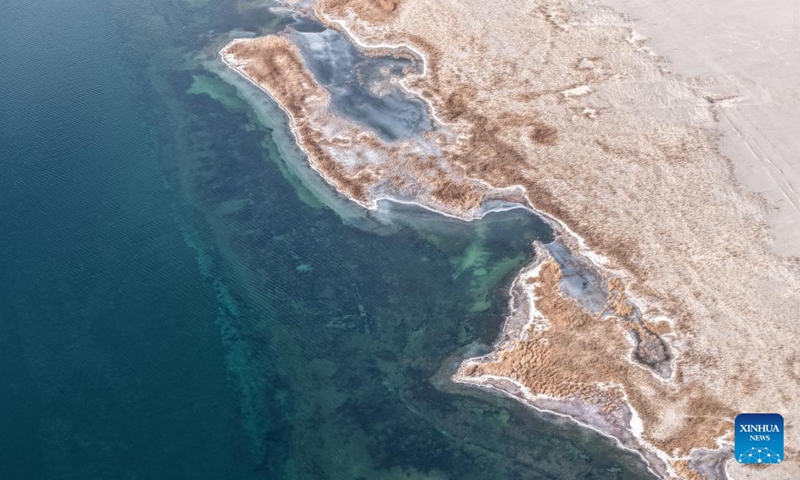 An aerial drone photo taken on Nov. 16, 2025 shows a view of the Dasugan Lake in Kazak Autonomous County of Aksay, Jiuquan, northwest China's Gansu Province. Dasugan Lake and Xiaosugan Lake are connected and are both formed by the meltwater from the Qilian Mountains. A unique phenomenon is that the upstream Xiaosugan Lake is a freshwater lake, while the downstream Dasugan Lake is a saline lake.

Together, they nurture a vibrant ecological wetland in the vast Gobi Desert, serving as an important stopover and breeding habitat for migratory birds along China's migration routes.  Photo: Xinhua