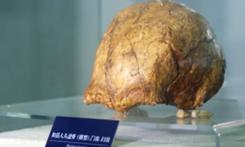 A model of the skull of Hexian Man Photo: Screenshot of CCTV video