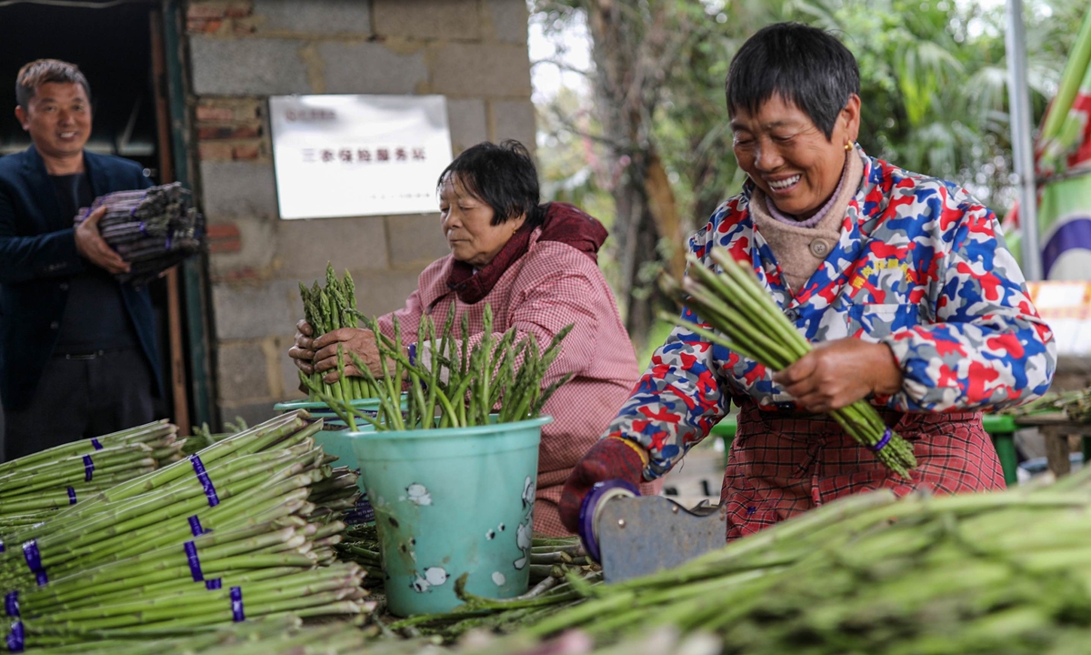 Villagers package asparagus at a local planting base in Yongle village, East China's Jiangxi Province, on March 21, 2023. Photo: VCG
