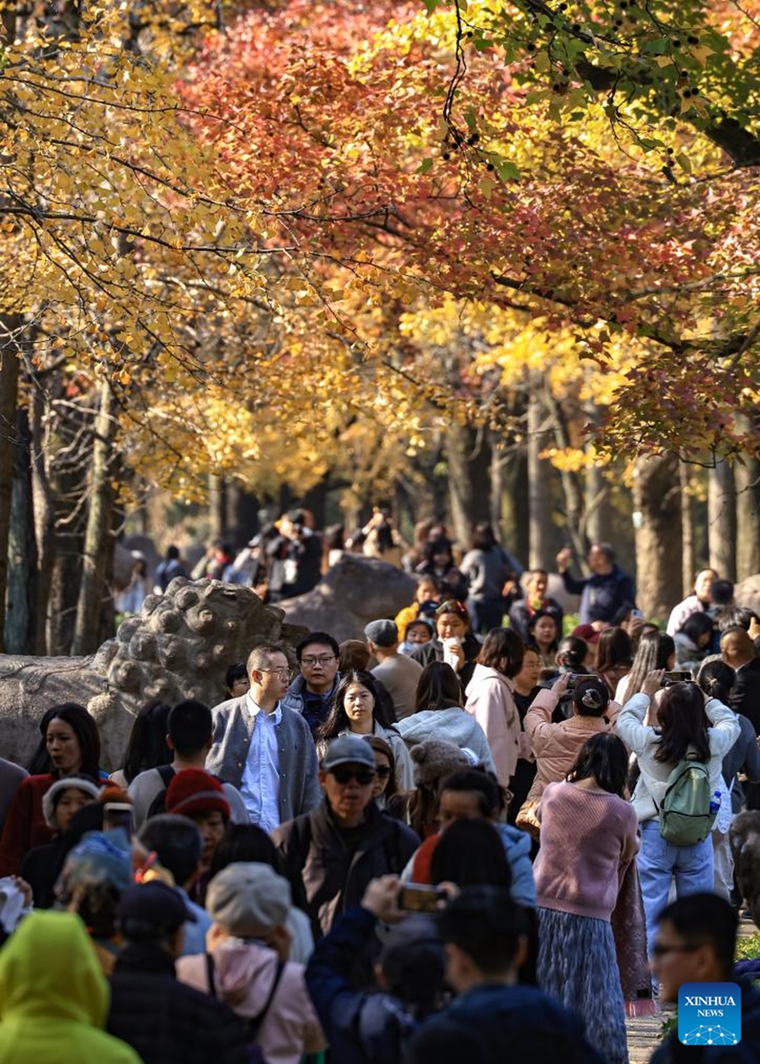 Tourists visit the imperial Xiaoling Mausoleum, the burial site of the Ming Dynasty's (1368-1644) founding emperor Zhu Yuanzhang, in Nanjing, east China's Jiangsu Province, Nov. 21, 2025. (Photo by Xin Yi/Xinhua)