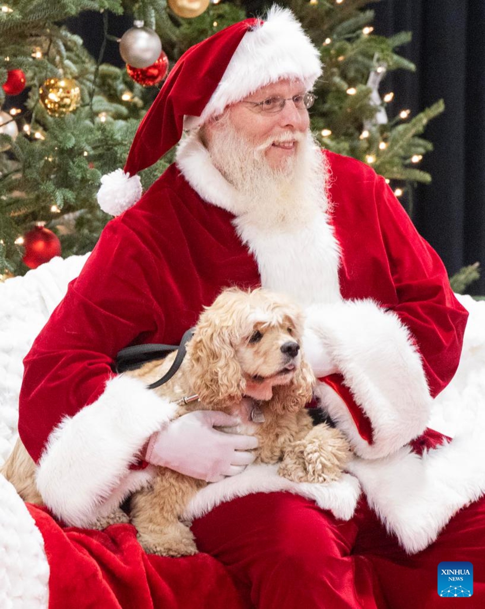 A man dressed as Santa Claus poses for photos with a pet dog at the 2025 Christmas Canadian Pet Expo in Mississauga, Ontario, Canada, on Nov. 22, 2025. Featuring different pet competitions and a holiday marketplace, this annual two-day event kicked off here on Saturday. (Photo by Zou Zheng/Xinhua)