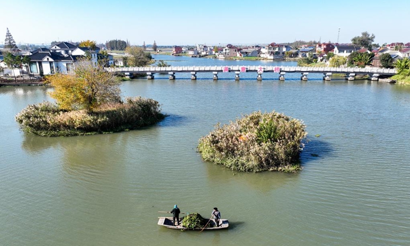 An aerial drone photo taken on Nov. 21, 2025 shows villagers cleaning floats from a waterway in Liuze Village of Xinghua, east China's Jiangsu Province. Local authorities in Xinghua have sought to embed environmental construction into the rural industry landscape in recent years, helping create numerous villages that are both livable and suitable for business operations. Photo: Xinhua