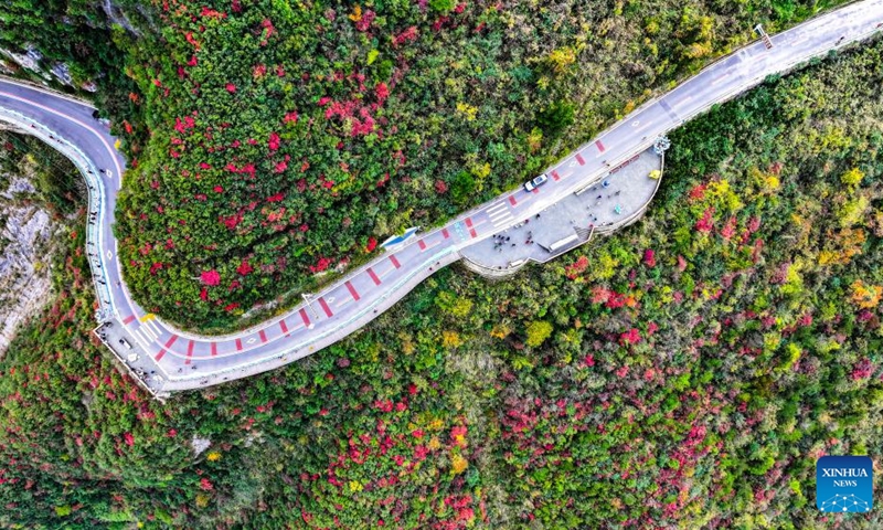 An aerial drone photo taken on Nov. 22, 2025 shows a scenic spot where the mountain vegetation start to turn red near the Wuxia Gorge, one of the Three Gorges on the Yangtze River, in Wushan County, southwest China's Chongqing. (Xinhua/Wang Quanchao)