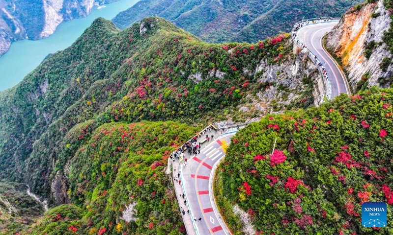 An aerial drone photo taken on Nov. 22, 2025 shows tourists at a scenic spot where the mountain vegetation start to turn red near the Wuxia Gorge, one of the Three Gorges on the Yangtze River, in Wushan County, southwest China's Chongqing. (Xinhua/Wang Quanchao)