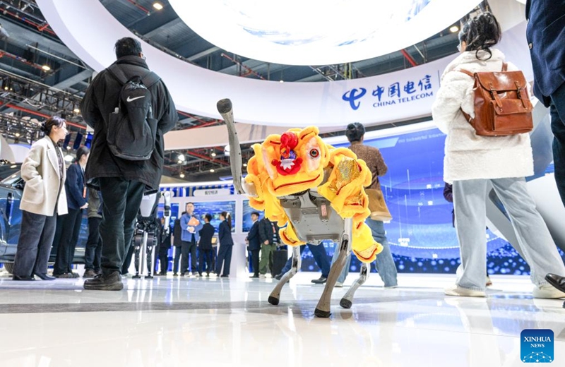 A robotic dog performs during the 2025 China 5G + Industrial Internet Conference in Wuhan, central China's Hubei Province, Nov. 21, 2025. The conference kicked off here on Friday and will run through Sunday. Photo: Xinhua