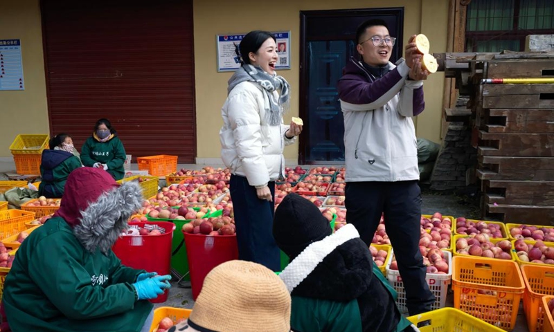 Staff members sell apples via live-streaming in Anxiang Village of Nanxin Town, Maoxian County of Aba Tibetan and Qiang Autonomous Prefecture, southwest China's Sichuan Province, Nov. 20, 2025. Over 1,000 mu (about 66.67 hectares) of apple orchards in Nanxin Town of Maoxian County have entered the harvest season. Local villagers take good use of the apple harvest to develop tourism and e-commerce, which has promote apple sales and boosted villagers' incomes. Photo: Xinhua