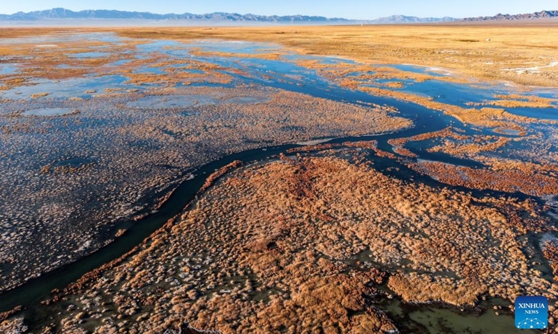 An aerial drone photo taken on Nov. 14, 2025 shows a view of the Xiaosugan Lake wetland in Kazak Autonomous County of Aksay, northwest China's Gansu Province. The Hexi Corridor, spanning nearly 1,000 km in China's Gansu Province, is interspersed with oases, rivers, lakes, wetlands, and artificial reservoirs, providing favorable habitats and abundant food resources for migratory birds. Photo: Xinhua
