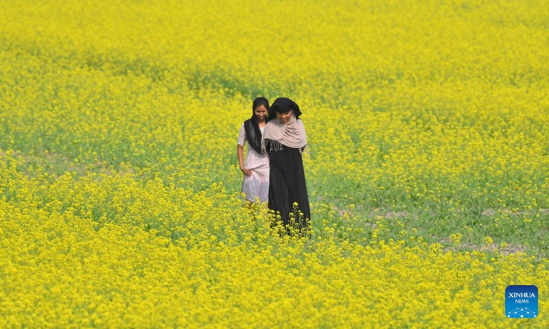 Women walk through a blooming mustard field at Mayong village in Morigaon district of India's northeastern state of Assam, Nov. 23, 2025. Photo: Xinhua
