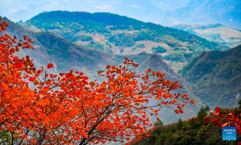 This photo taken on Nov. 23, 2025 shows the view of a scenic spot near the Wuxia Gorge, one of the Three Gorges on the Yangtze River, in Wushan, southwest China's Chongqing. (Xinhua/Wang Quanchao)