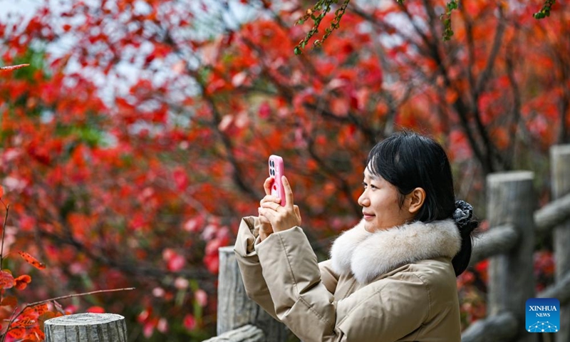 A tourist takes photos at a scenic spot near the Wuxia Gorge, one of the Three Gorges on the Yangtze River, in Wushan, southwest China's Chongqing, Nov. 23, 2025. (Xinhua/Wang Quanchao)