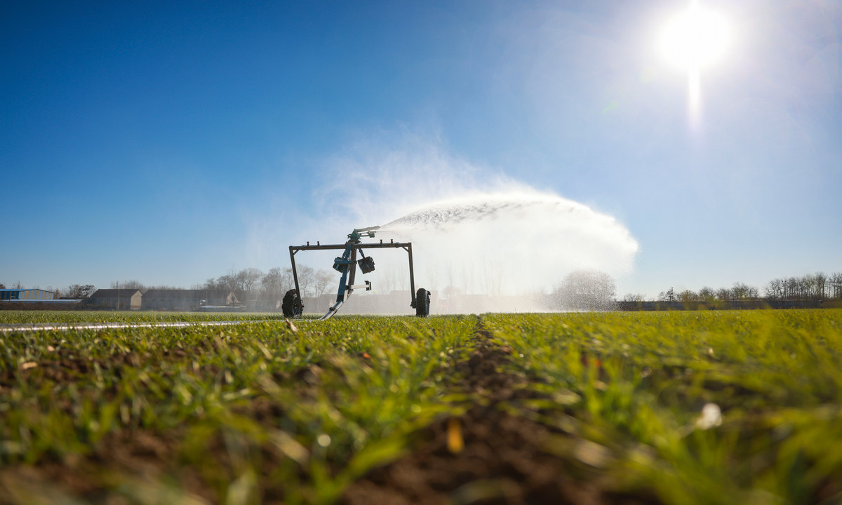A sprinkler irrigates crops in Dongying, East China's Shandong Province on November 27, 2025. China's Ministry of Agriculture and Rural Affairs said in its latest crop update that more than 90 percent of the country's winter wheat has been sown, as many provinces move swiftly to advance autumn-winter planting. Photo: VCG