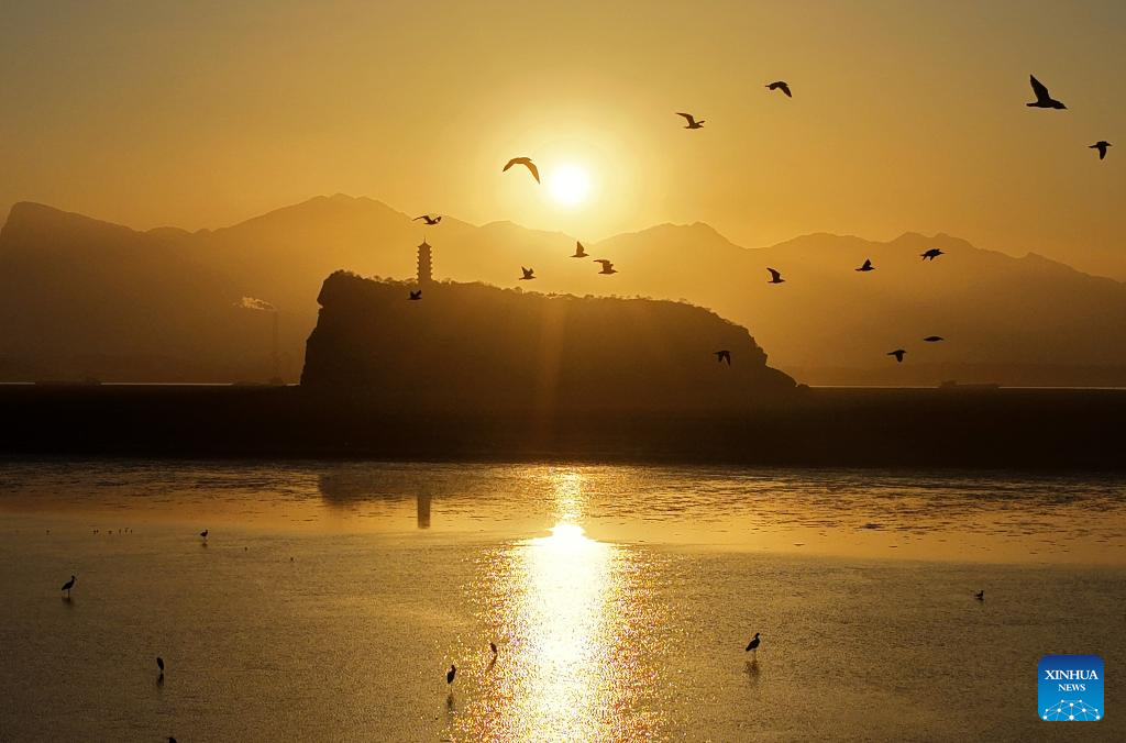 A drone photo taken on Nov. 26, 2025 shows migrant birds flying over Poyang Lake in Hukou County, east China's Jiangxi Province. (Xinhua/Wan Xiang)
