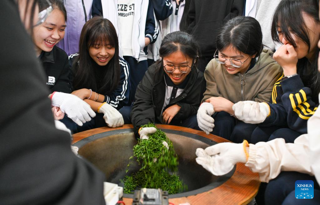 Students try their hands roasting fresh tea leaves at a tea garden in Baisha Li Autonomous County, south China's Hainan Province, Nov. 20, 2025. In recent years, Baisha Li Autonomous County has been deeply tapping into the potential of namely rubber, tea and oil-tea camellia, three of its signature industrial crops, to boost local economy. Reports show that the planting area of the these crops in Baisha reached 1.1605 million mu (about 77,367 hectares) by 2014, with an output value of approximately 2 billion yuan (282.5 million U.S. dollars). (Xinhua/Yang Guanyu)