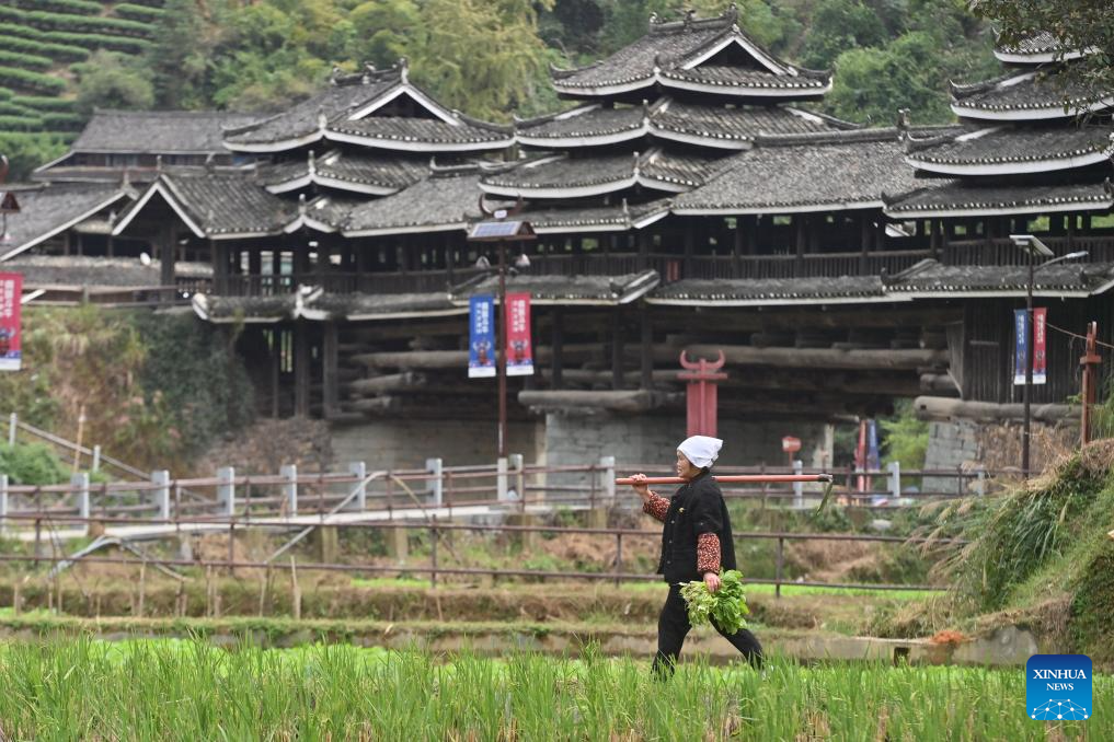 A villager works near a timber lounge bridge in Batuan Village in Sanjiang Dong Autonomous County, south China's Guangxi Zhuang Autonomous Region, Nov. 5, 2025. Mountains, gullies and streams surrounding the villages across Guangxi's rural area make bridges the must for production and daily life. Small bridges are not only important transportation link, but also play a crucial role in culture inheritance, industrial development and rural revitalization. (Xinhua/Huang Xiaobang)