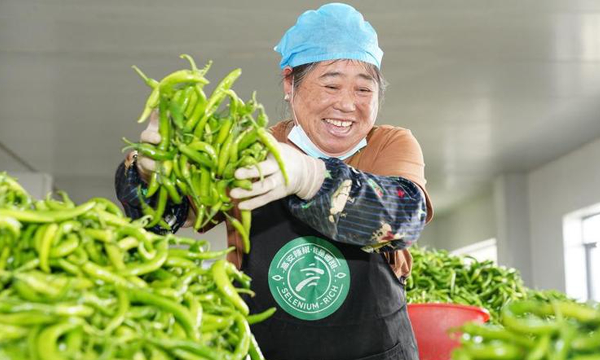 A farmer sorts chili peppers at the sorting center of a chili pepper industry park in Shanghu Township of Gao'an City, east China's Jiangxi Province, Oct. 29, 2025. (Xinhua/Dai Mingxuan)